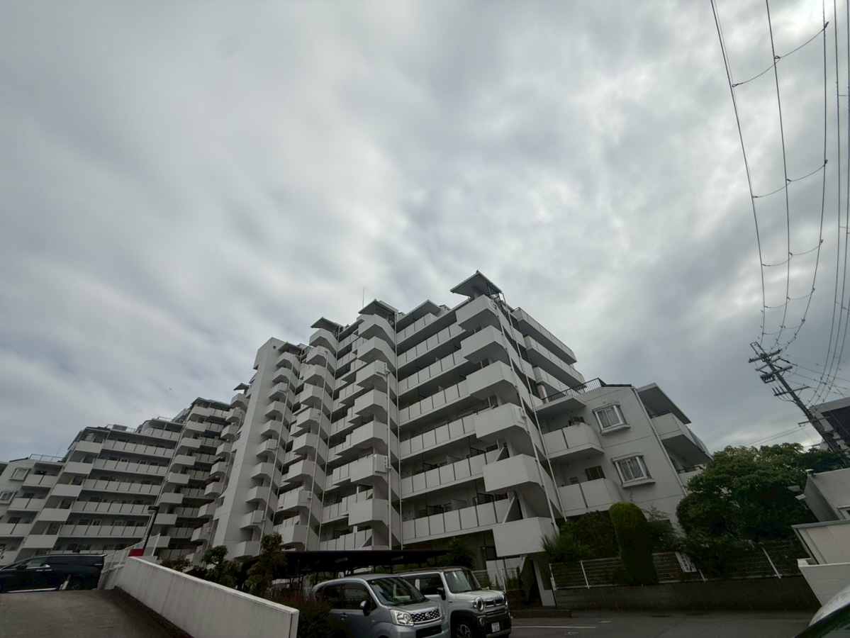 写真2