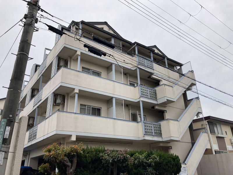 ニュープレジデント藤澤