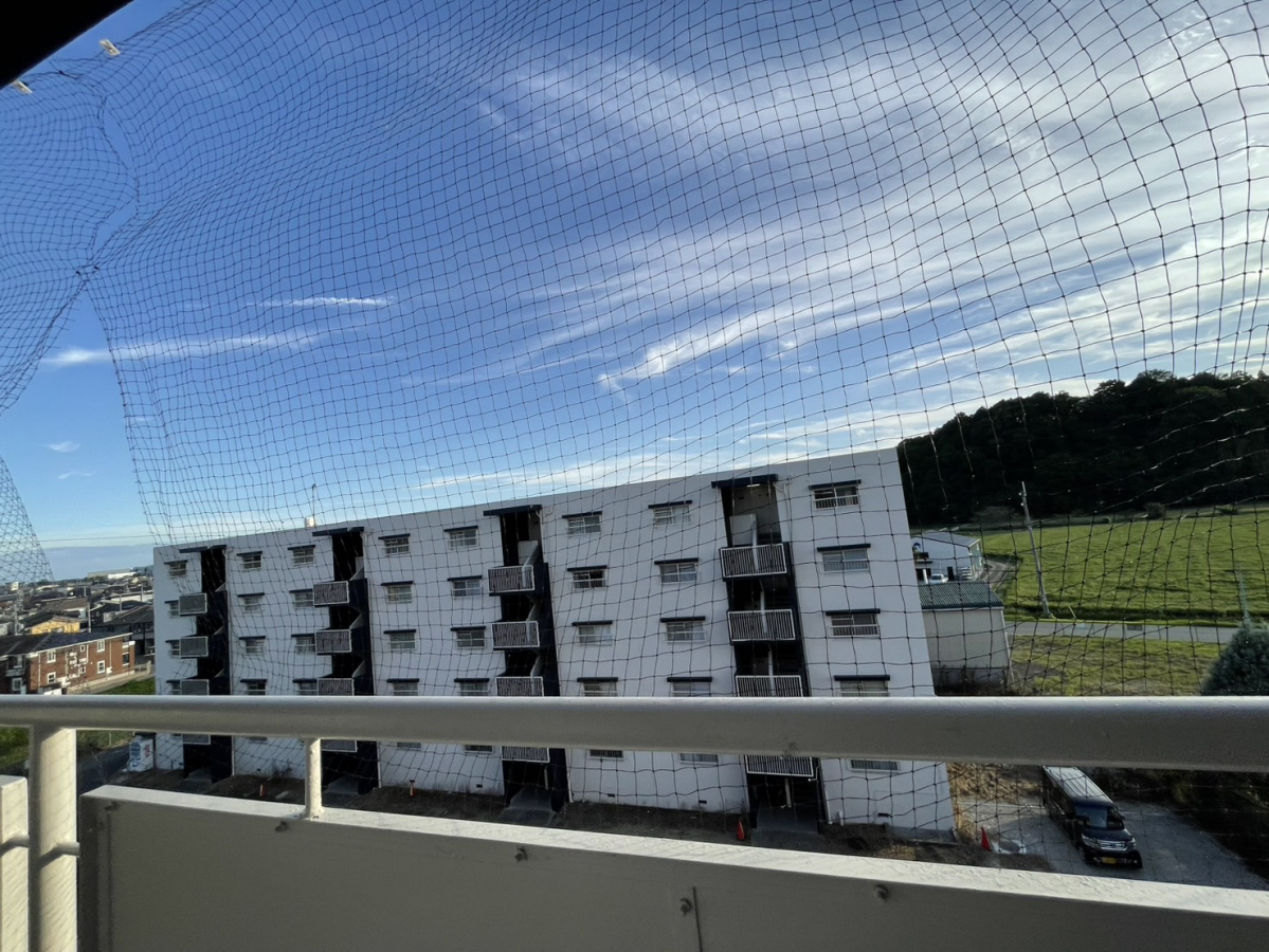 眺望 写真15