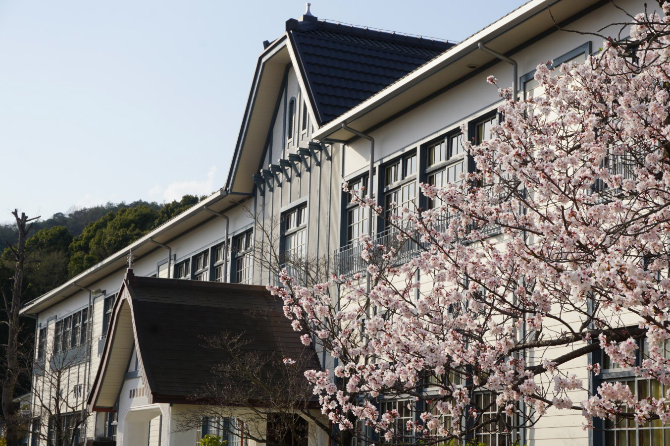 西脇小学校まで763m (徒歩10分) 写真21