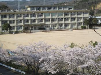 自由が丘東小学校まで2070m (徒歩26分) 写真21