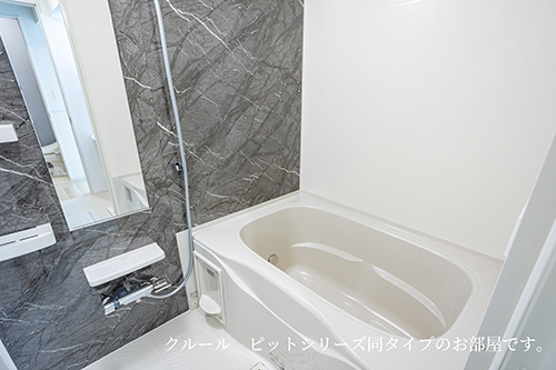 バス 写真4