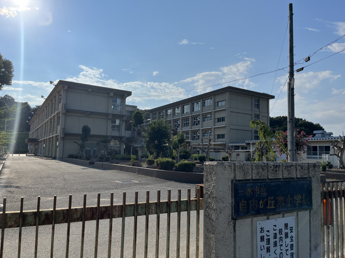 自由が丘東小学校 写真21
