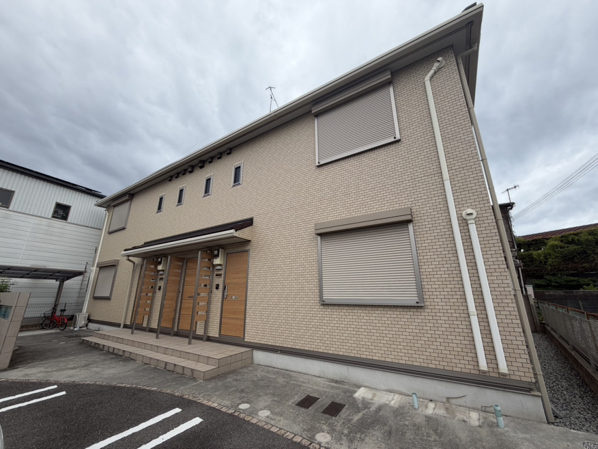 シェーン　メーア