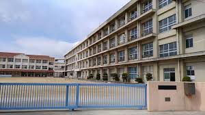 錦浦小学校まで801m (徒歩11分) 写真21