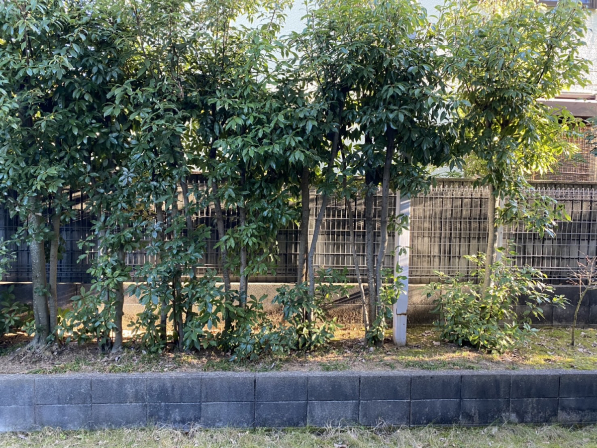 眺望 写真15