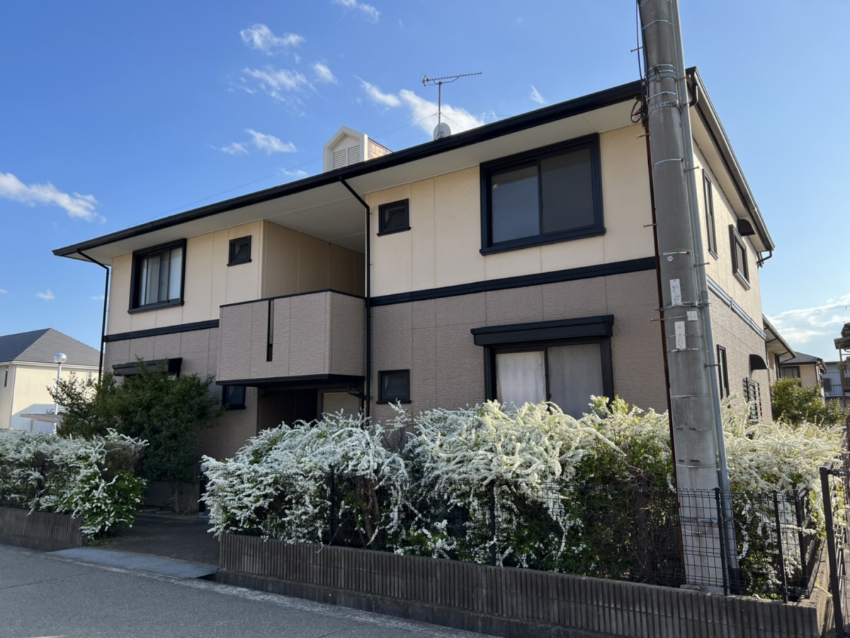 メゾンゼルカバB棟