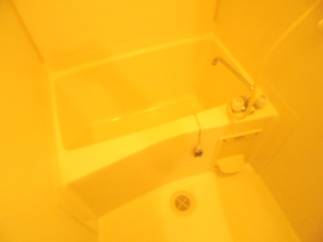 バス 写真4