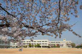 蓮池小学校まで235m (徒歩3分) 写真21