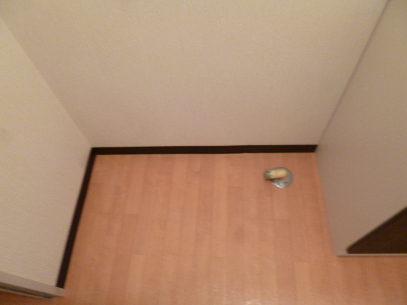 その他部屋・スペース 写真7