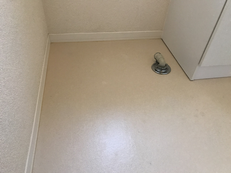 写真28