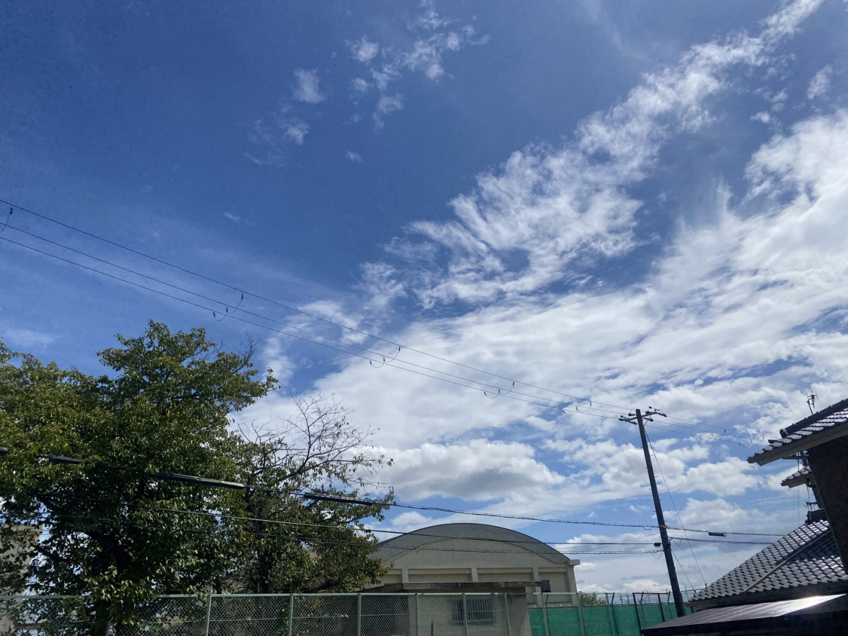 眺望 写真15