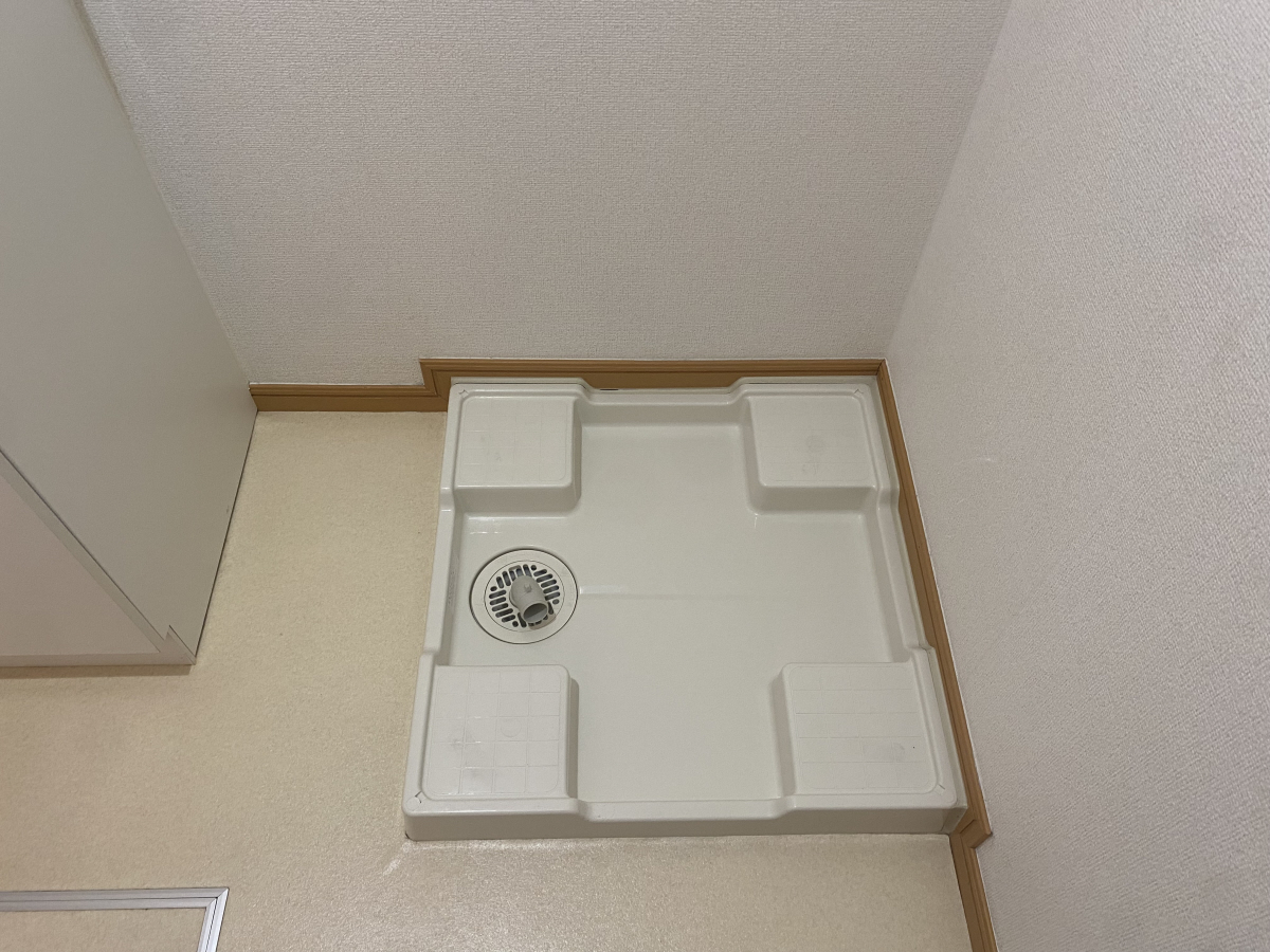 写真31