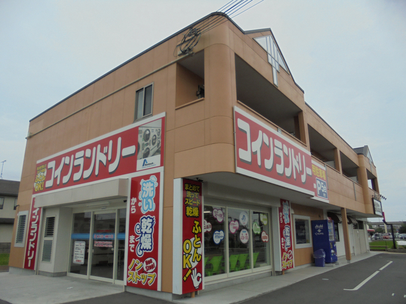 スカイアイビー
